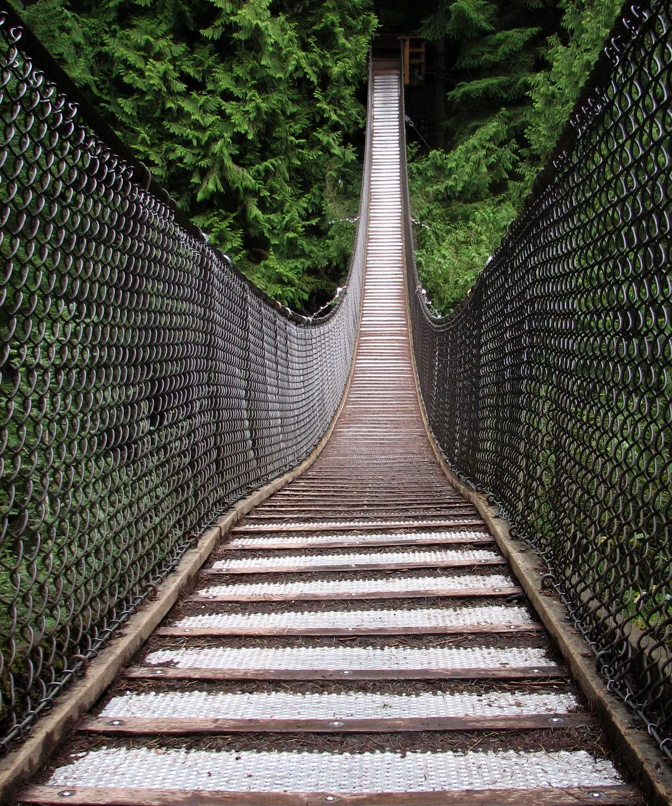 Bungee Jumping With a Disability: Adaptive Options and Stories