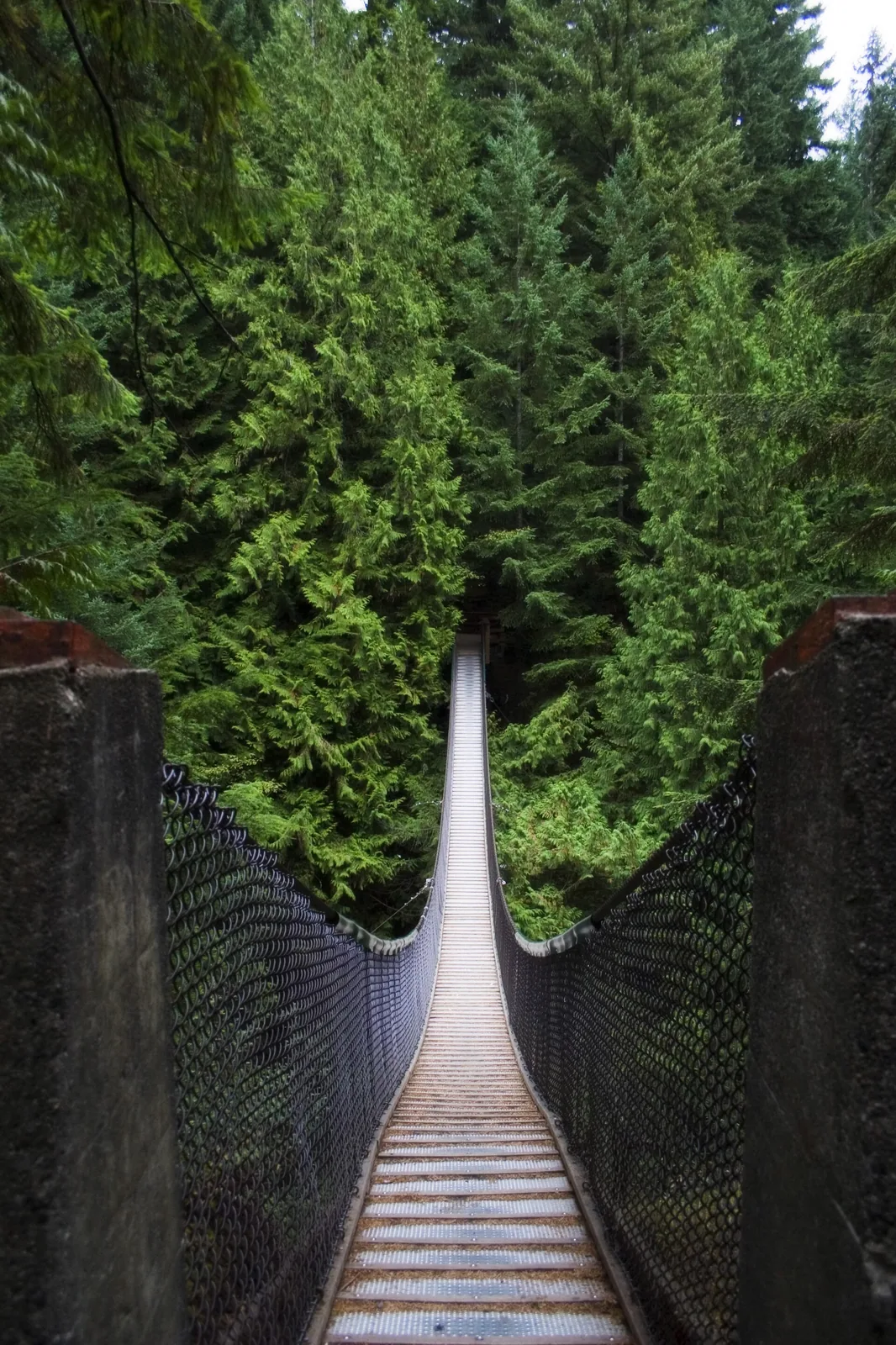 Lynn creek suspension hires photograph