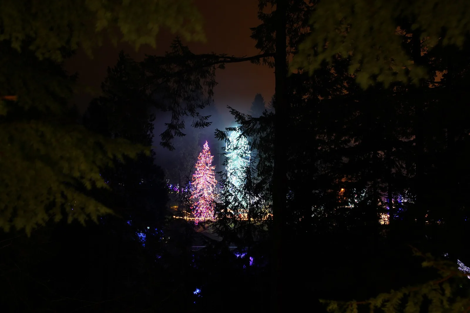 Canyon Lights 2012 at Capilano Suspension Bridge