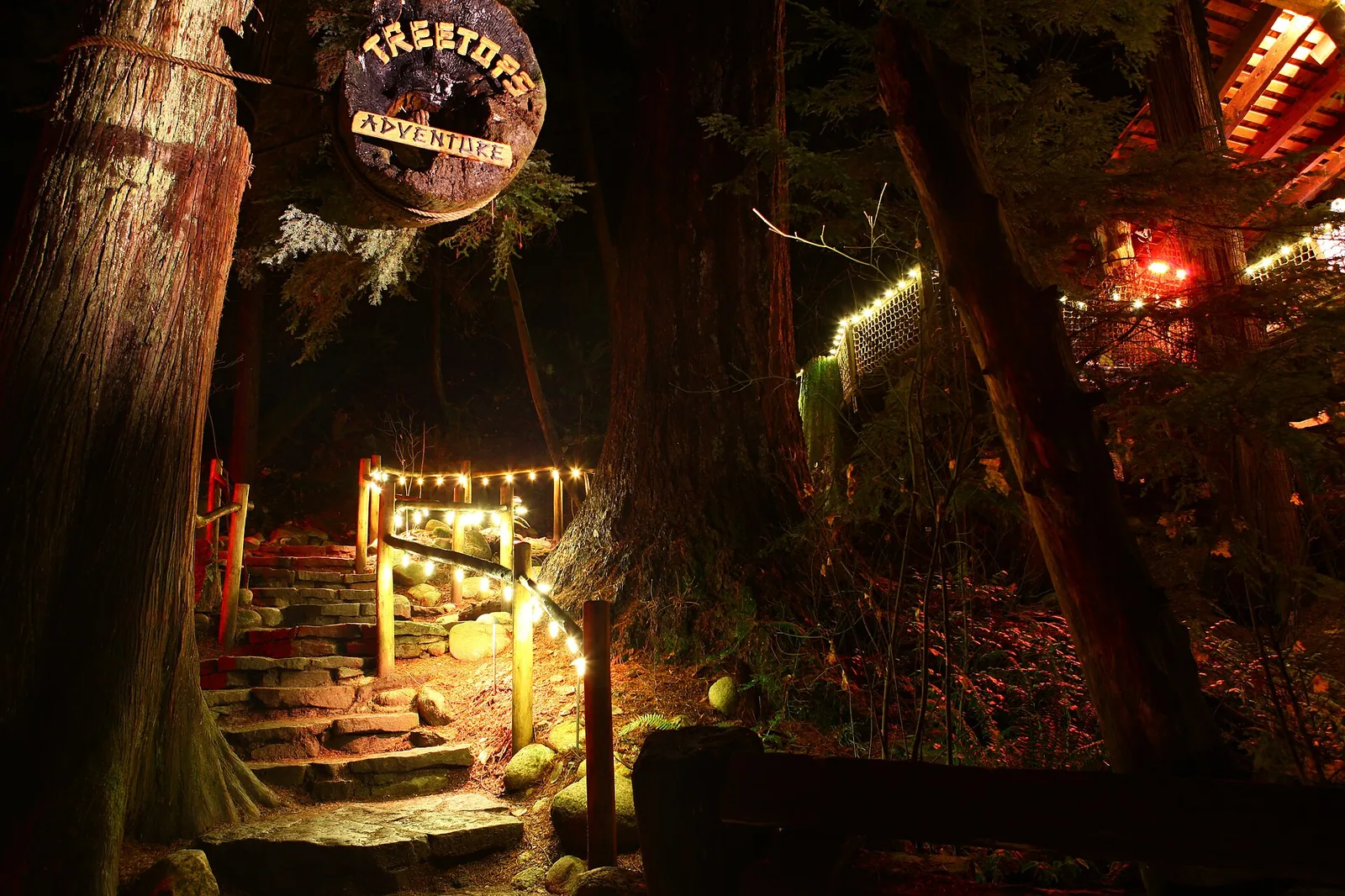 Canyon Lights 2012 at Capilano Suspension Bridge