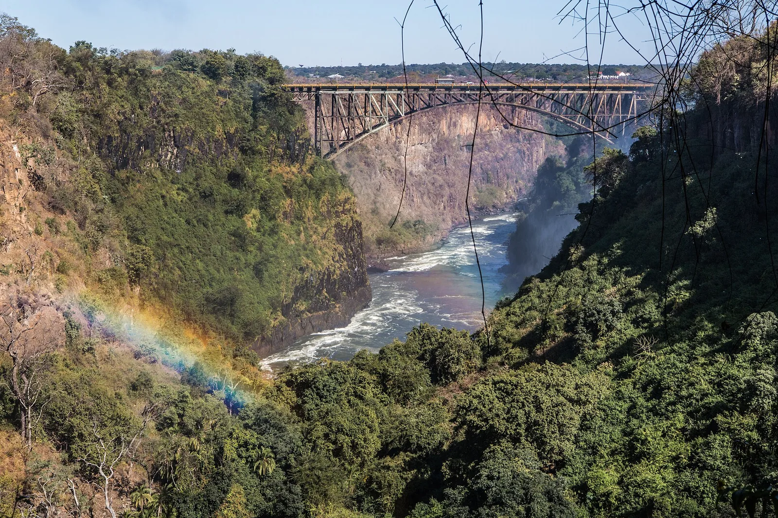 Can You Bungee Jump If You're Afraid of Heights?