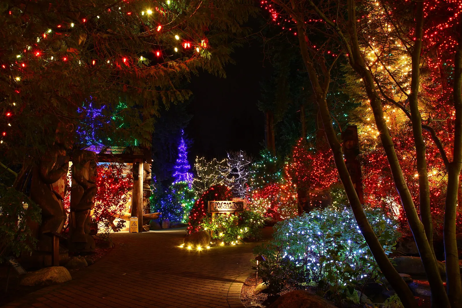 Canyon Lights 2012 at Capilano Suspension Bridge