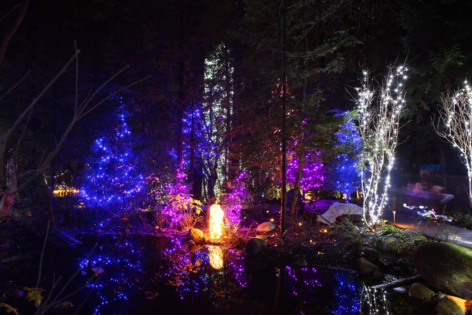 Canyon Lights 2012 at Capilano Suspension Bridge