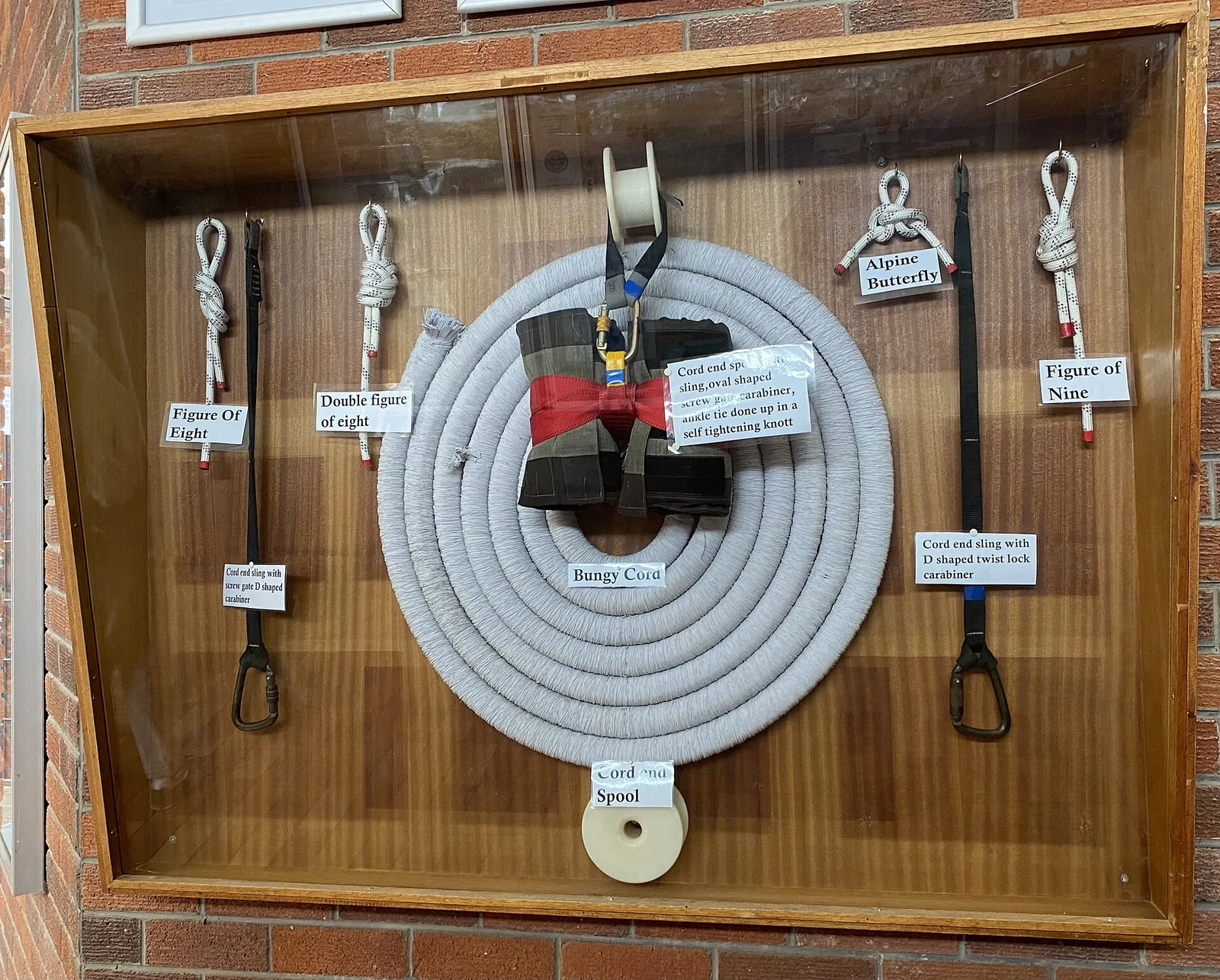 Bungee equipment photograph