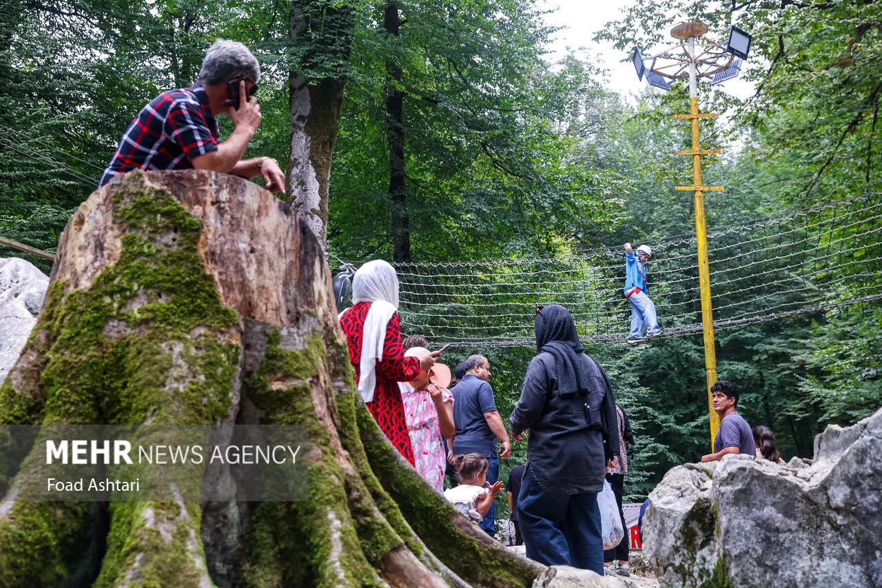 How Bungee Operators Handle Medical Emergencies Mid-Jump