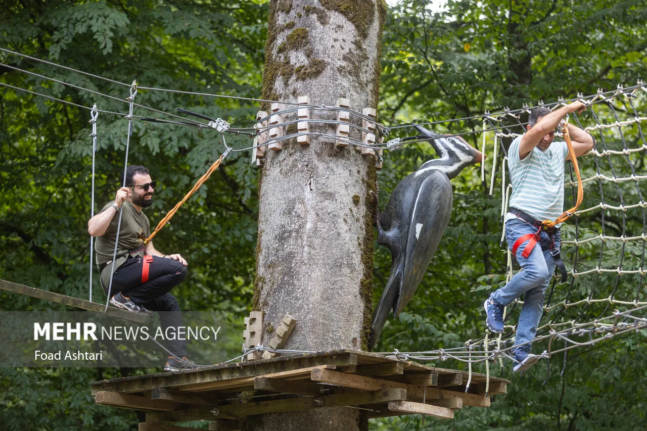 Reverse bungee jumping and bungee jumping in Namak Abrud photograph