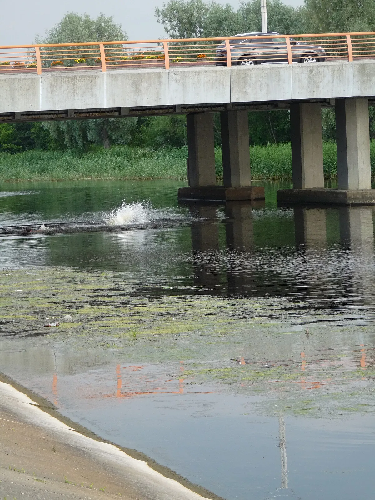 Jumping from Pirita bridge