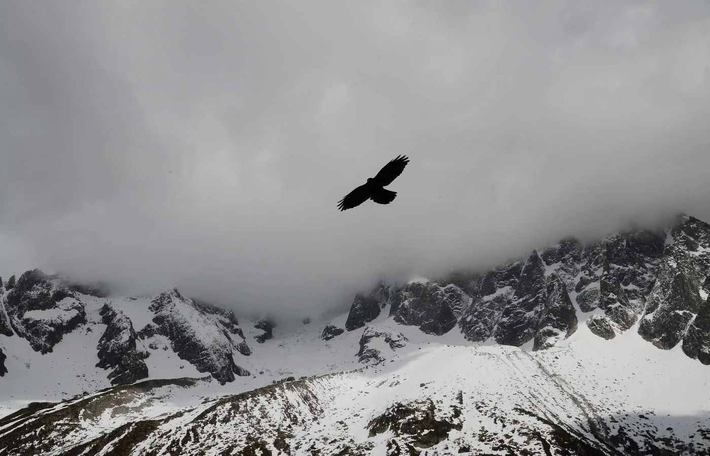 Bungee Jumping vs. BASE Jumping: Risk, Cost and Accessibility