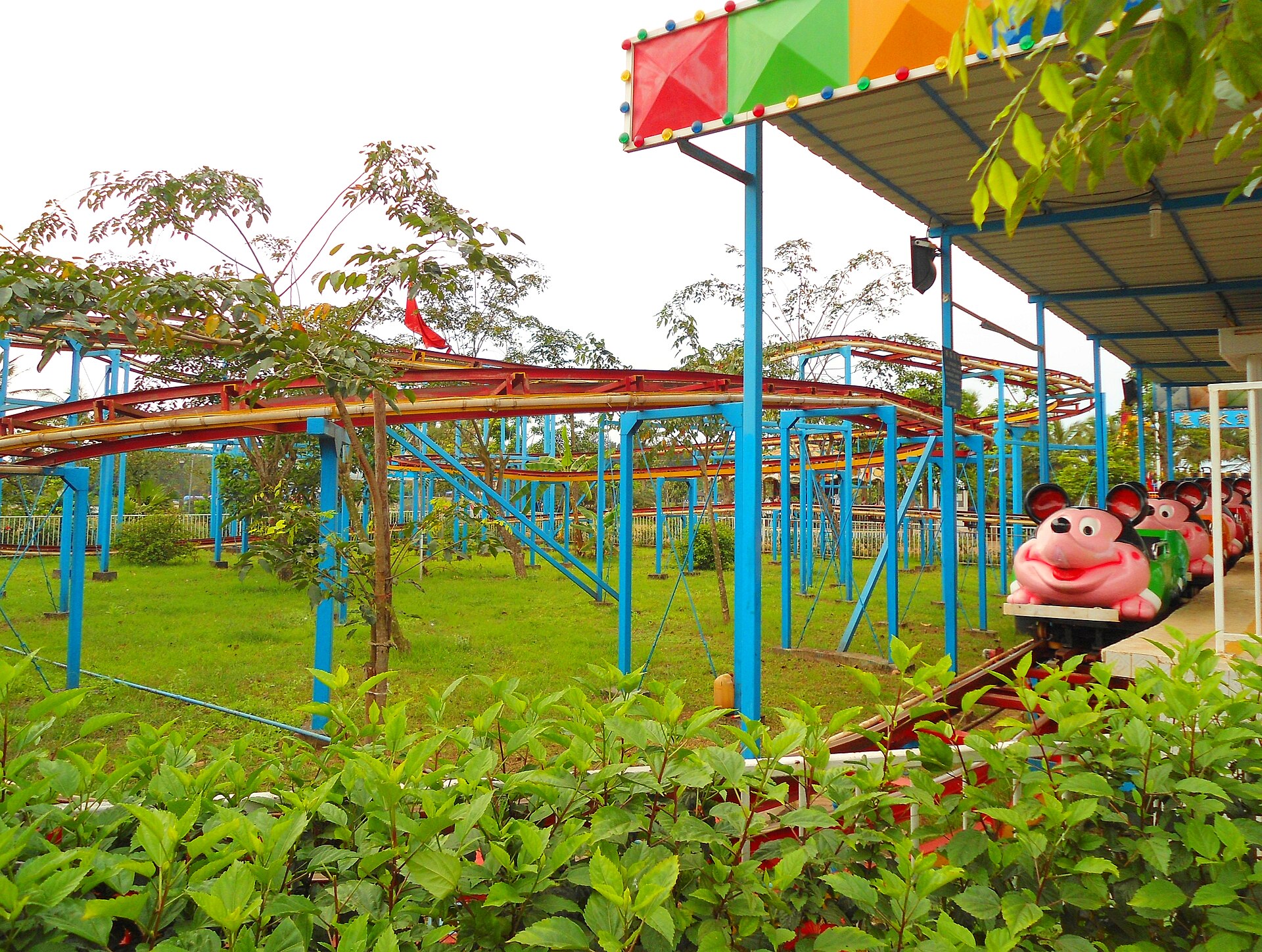 Bungee vs Roller Coasters: Engineered Thrills Side by Side