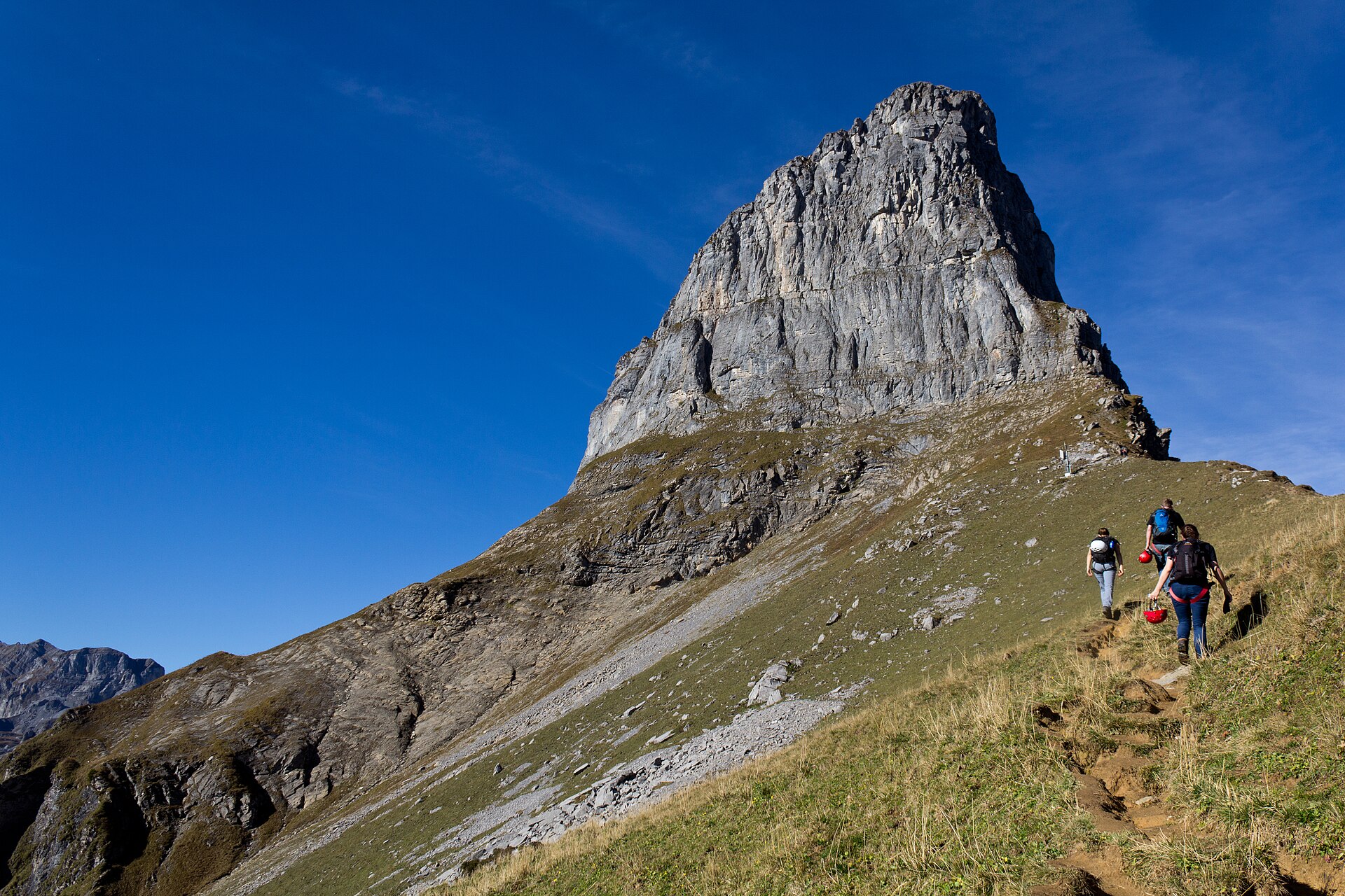 Bungee vs Via Ferrata: Vertical Adventure Without the Fall