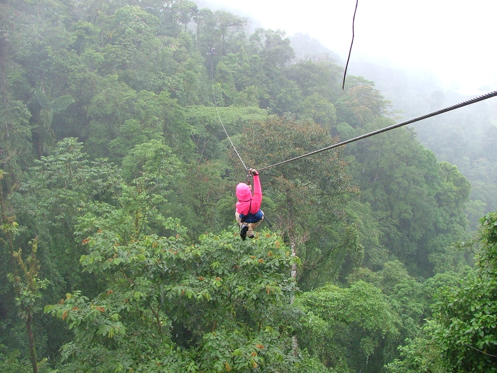 Bungee vs Zip Line: Intensity, Cost and Time on Site