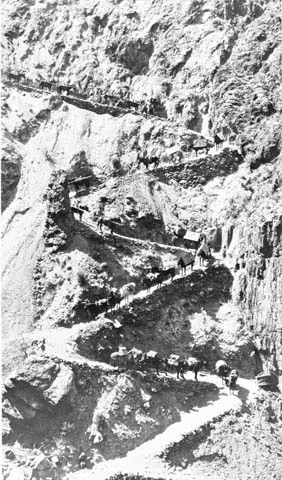 10105 Grand Canyon Historic Kaibab Suspension Bridge Supply Train 1928 photograph