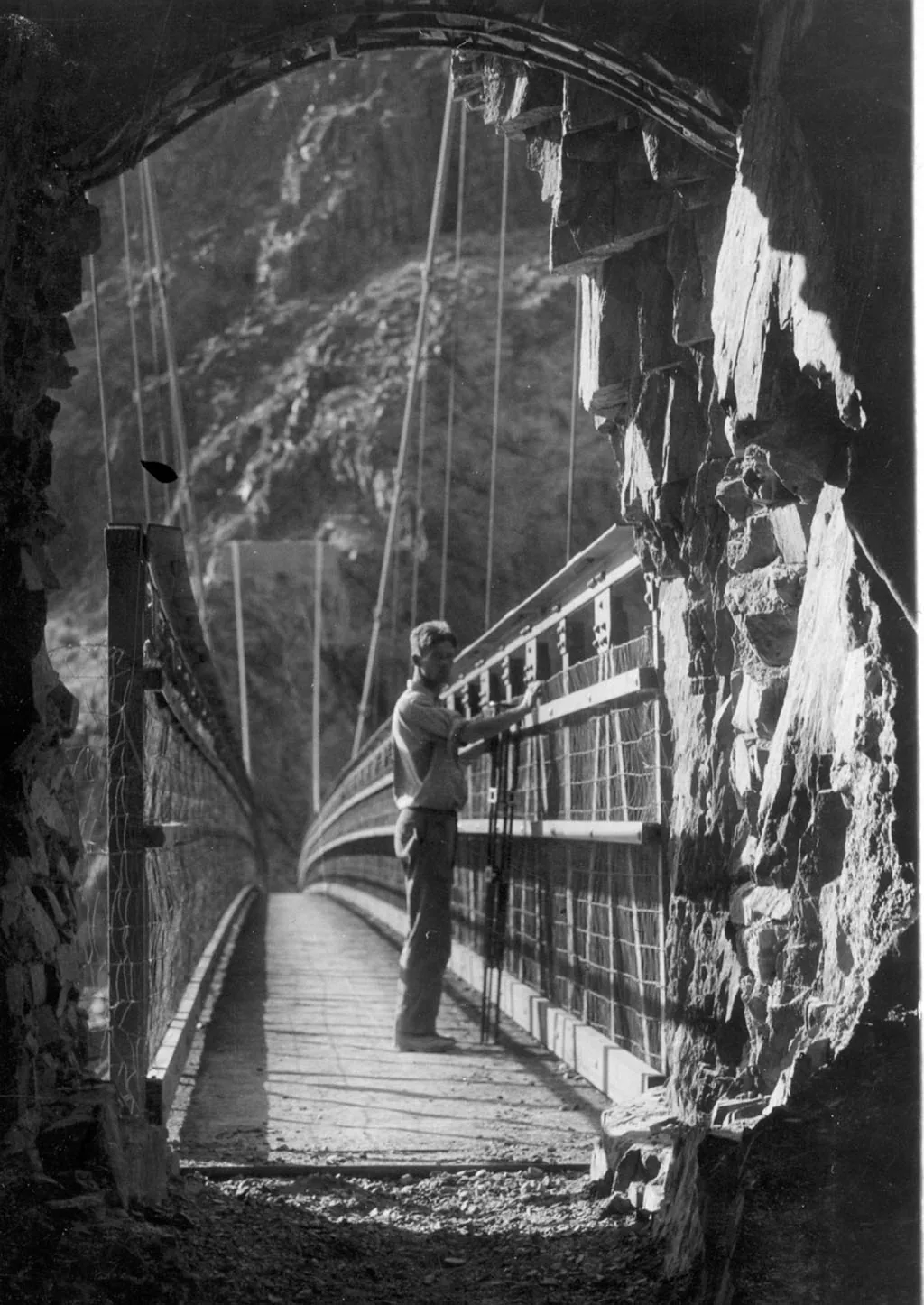 07496 Grand Canyon Historic Kaibab Trail Suspension Bridge