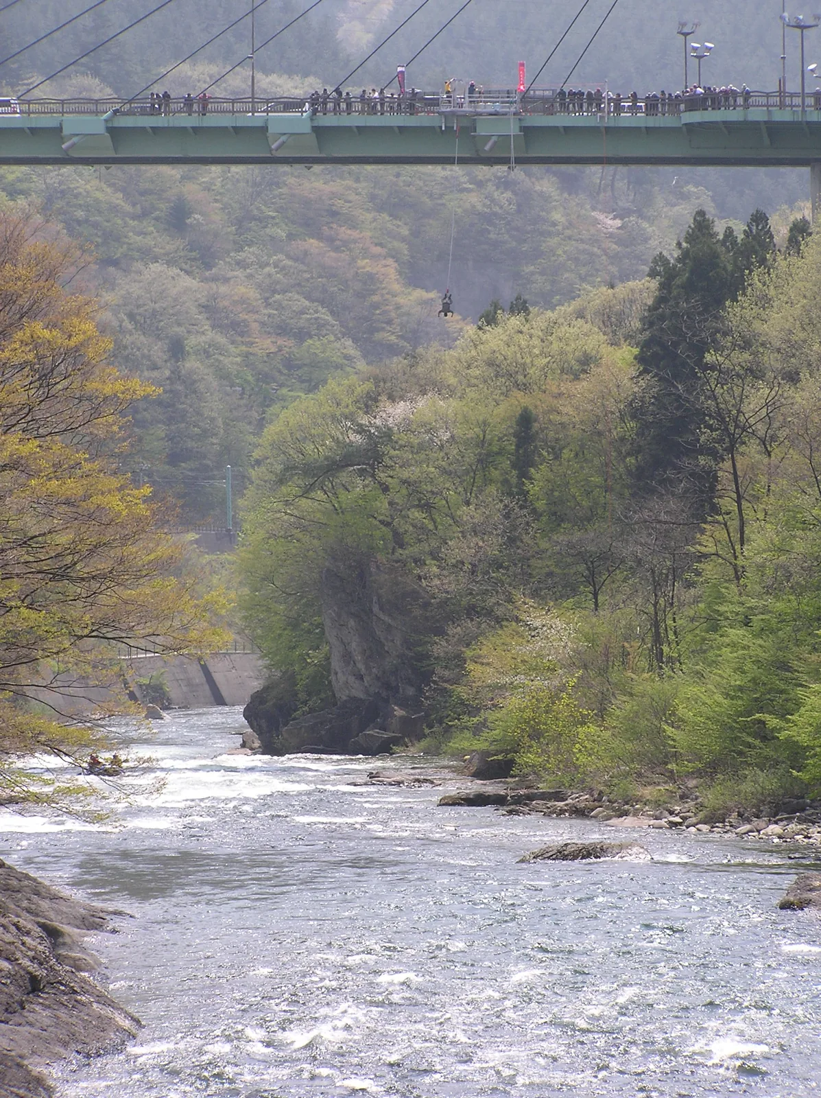 Bungee jumping Suwakyooohasi bridge 諏訪峡大橋、バンジージャンプ panoramio photograph