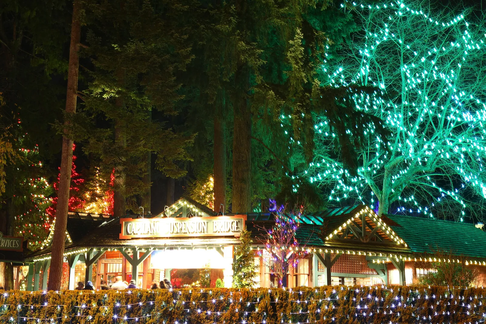 Canyon Lights 2012 at Capilano Suspension Bridge