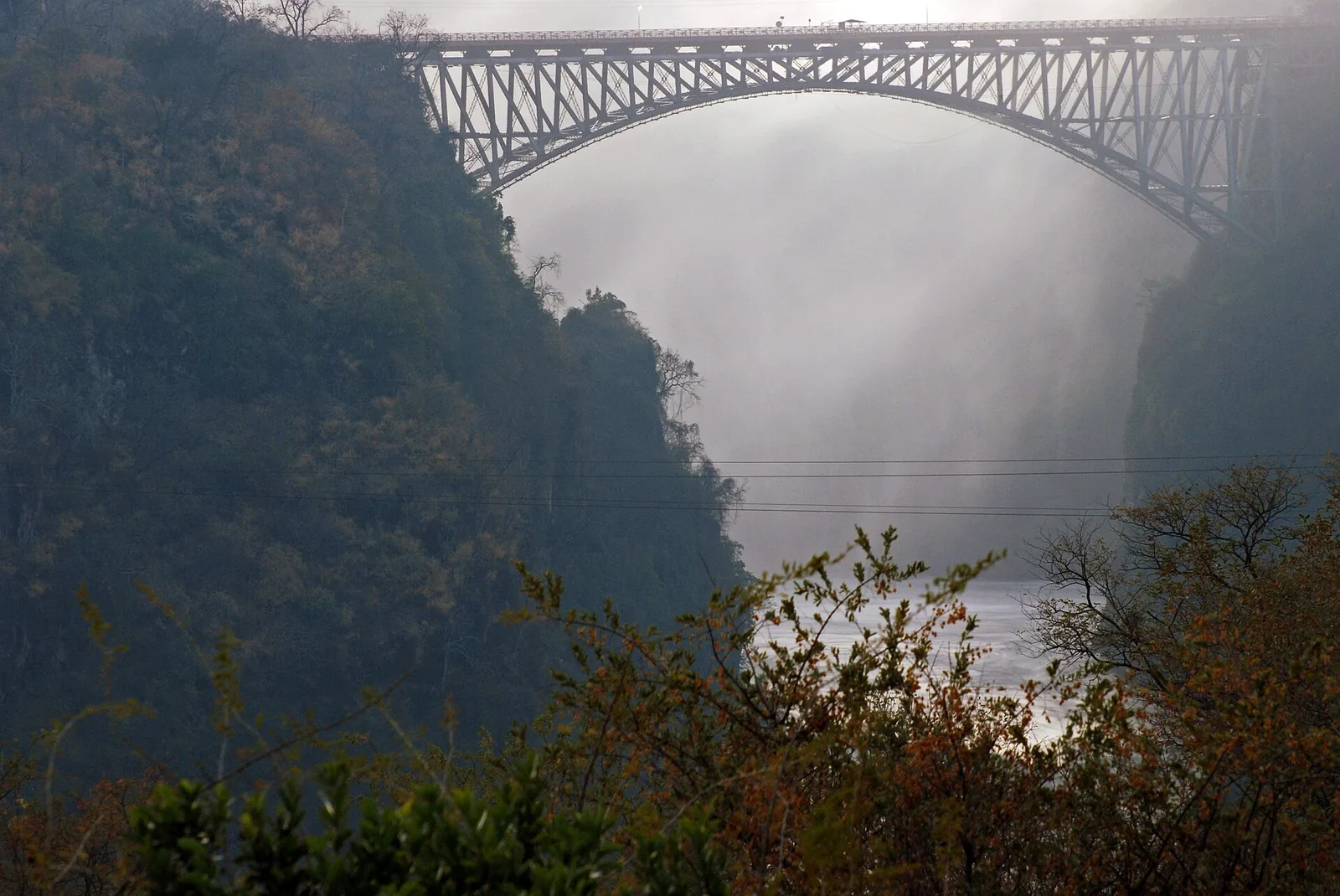 Medical Conditions That Can Disqualify You From Bungee Jumping