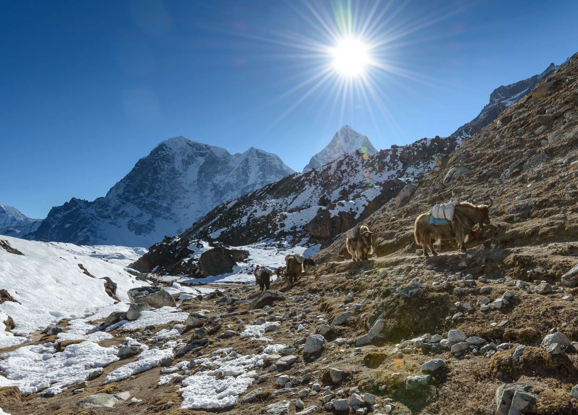 Pairing a Nepal Trek With a Controlled Bungy Leap