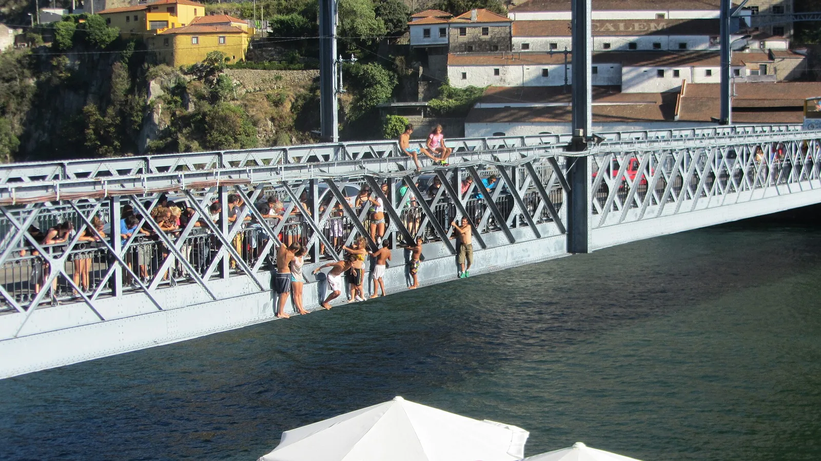 North American Bungee Options That Actually Run