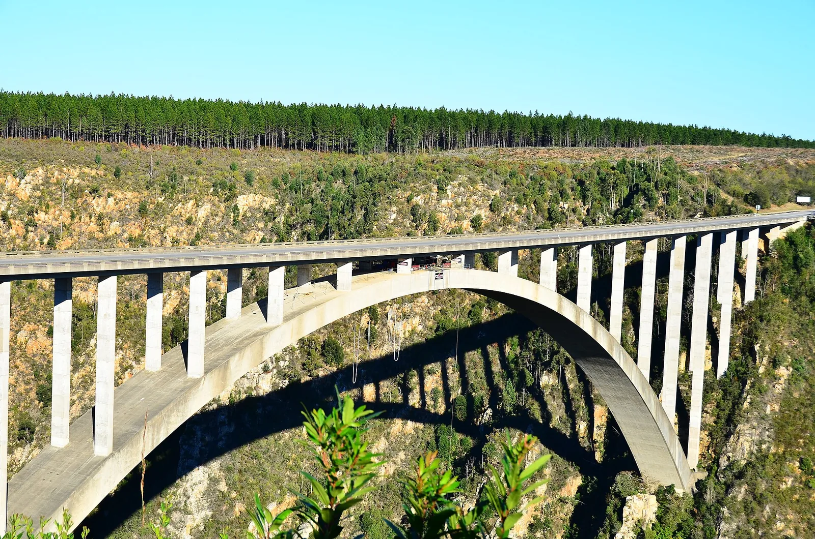 Bloukrans Bridge2 photograph