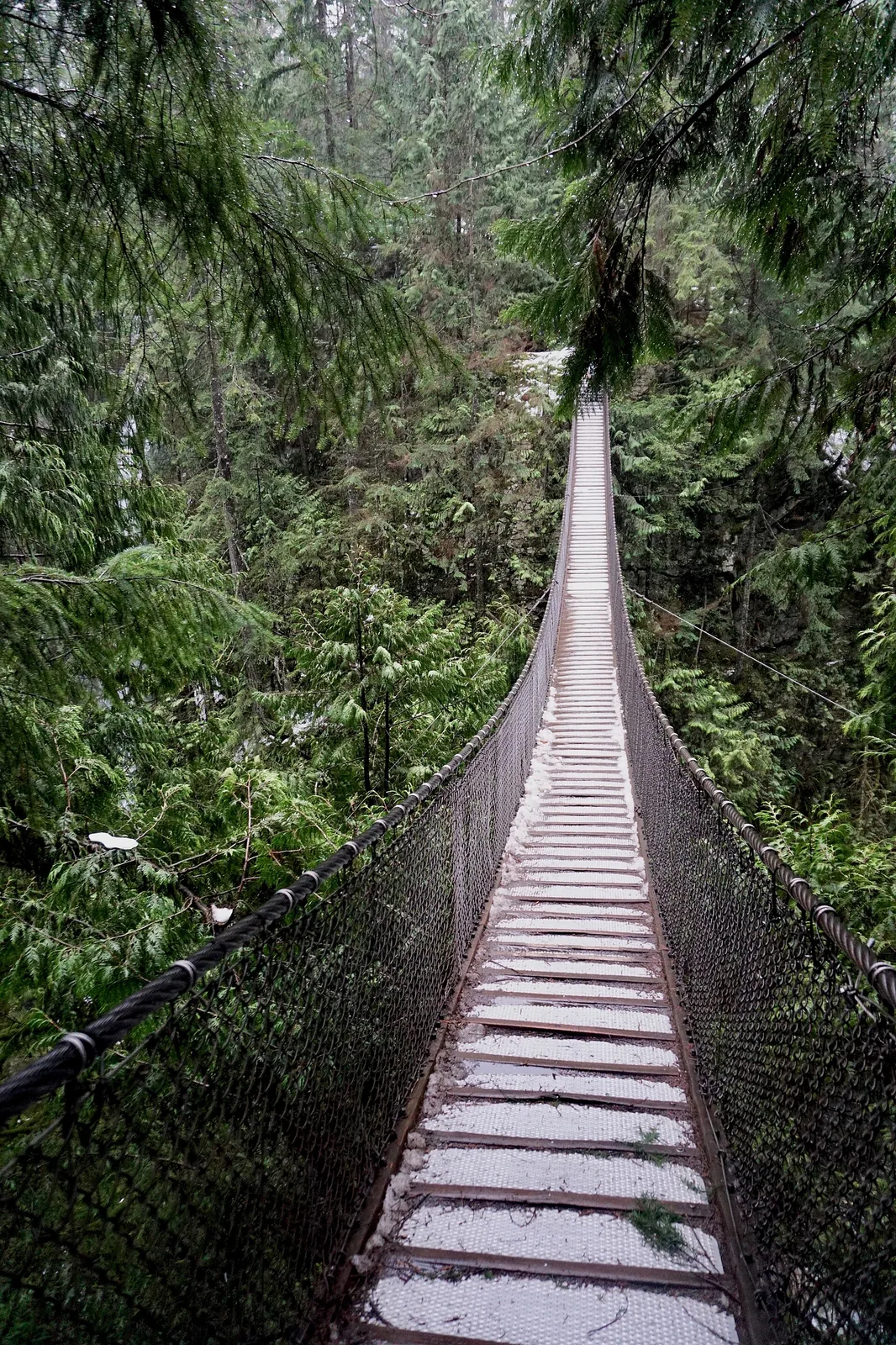 Lynn Canyon Park Suspension Bridge 2016 photograph